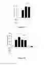 Fig. 08 - Mutated tissue plasminogen activators and uses thereof