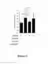 Fig. 16 - Mutated tissue plasminogen activators and uses thereof