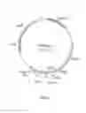 Fig. 05 - Combinatorial antibody libraries and uses thereof