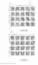 Fig. 01 - SCAFFOLDED NUCLEIC ACID POLYMER PARTICLES AND METHODS OF MAKING AND USING