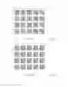 Fig. 02 - SCAFFOLDED NUCLEIC ACID POLYMER PARTICLES AND METHODS OF MAKING AND USING