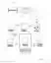 Fig. 04 - SCAFFOLDED NUCLEIC ACID POLYMER PARTICLES AND METHODS OF MAKING AND USING