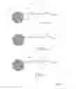 Fig. 09 - SCAFFOLDED NUCLEIC ACID POLYMER PARTICLES AND METHODS OF MAKING AND USING