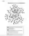 Fig. 41 - Methods for Modulation of Autophagy Through the Modulation of Autophagy-Inhibiting Gene Products