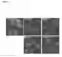 Fig. 56 - Methods for Modulation of Autophagy Through the Modulation of Autophagy-Inhibiting Gene Products