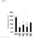 Fig. 57 - Methods for Modulation of Autophagy Through the Modulation of Autophagy-Inhibiting Gene Products