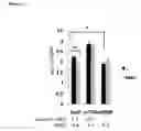 Fig. 67 - Methods for Modulation of Autophagy Through the Modulation of Autophagy-Inhibiting Gene Products