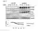 Fig. 77 - Methods for Modulation of Autophagy Through the Modulation of Autophagy-Inhibiting Gene Products
