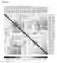 Fig. 83 - Methods for Modulation of Autophagy Through the Modulation of Autophagy-Inhibiting Gene Products