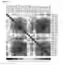 Fig. 85 - Methods for Modulation of Autophagy Through the Modulation of Autophagy-Inhibiting Gene Products
