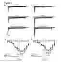 Fig. 05 - Methods for treating and/or limiting development of diabetes