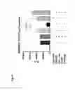Fig. 03 - Method of enhancing miR-185 expression to reduce low density lipoprotein/cholesterol accumulation in a cell