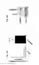 Fig. 16 - Method of enhancing miR-185 expression to reduce low density lipoprotein/cholesterol accumulation in a cell