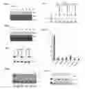 Fig. 04 - Compounds and methods for modulating target nuclear and sub-nuclear nucleic acid molecules in cells and animals