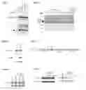 Fig. 05 - Compounds and methods for modulating target nuclear and sub-nuclear nucleic acid molecules in cells and animals