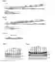Fig. 06 - Compounds and methods for modulating target nuclear and sub-nuclear nucleic acid molecules in cells and animals