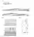 Fig. 09 - Compounds and methods for modulating target nuclear and sub-nuclear nucleic acid molecules in cells and animals