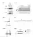 Fig. 05 - Compounds and methods for modulating target nuclear and sub-nuclear nucleic acid molecules in cells and animals