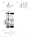 Fig. 12 - Compounds and methods for modulating target nuclear and sub-nuclear nucleic acid molecules in cells and animals