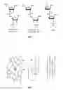 Fig. 02 - G-rich isoDNA sequences forming G-quadruplex structure, their function as aptamers and a process for the preparation thereof