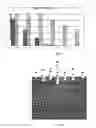 Fig. 11 - G-rich isoDNA sequences forming G-quadruplex structure, their function as aptamers and a process for the preparation thereof