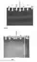 Fig. 12 - G-rich isoDNA sequences forming G-quadruplex structure, their function as aptamers and a process for the preparation thereof