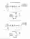 Fig. 05 - SPHERICAL NUCLEIC ACID-BASED CONSTRUCTS AS IMMUNOREGULATORY AGENTS