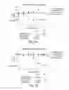 Fig. 06 - SPHERICAL NUCLEIC ACID-BASED CONSTRUCTS AS IMMUNOREGULATORY AGENTS
