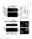 Fig. 04 - Methods of identifying and treating poor prognosis cancers