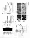 Fig. 07 - Methods of identifying and treating poor prognosis cancers