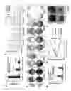 Fig. 10 - Methods of identifying and treating poor prognosis cancers