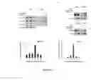 Fig. 04 - Ligase E3 RNF185 inhibitors and uses thereof