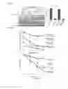 Fig. 08 - Ligase E3 RNF185 inhibitors and uses thereof