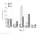 Fig. 19 - Compositions and methods for inhibiting expression of mutant EGFR gene