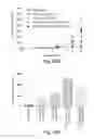 Fig. 25 - Compositions and methods for inhibiting expression of mutant EGFR gene