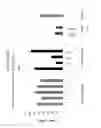 Fig. 20 - Methods and compositions for selecting siRNA of improved functionality