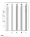 Fig. 10 - CONTROL OF COLD-INDUCED SWEETENING AND REDUCTION OF ACRYLAMIDE LEVELS IN POTATO OR SWEET POTATO