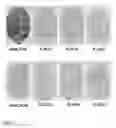 Fig. 11 - CONTROL OF COLD-INDUCED SWEETENING AND REDUCTION OF ACRYLAMIDE LEVELS IN POTATO OR SWEET POTATO