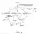 Fig. 05 - LIPID AND GROWTH TRAIT GENES