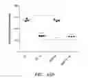 Fig. 65 - LIPID AND GROWTH TRAIT GENES
