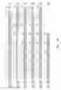 Fig. 71 - LIPID AND GROWTH TRAIT GENES