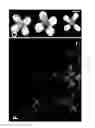 Fig. 03 - Methods of modulating seed and organ size in plants