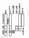 Fig. 15 - Methods of modulating seed and organ size in plants