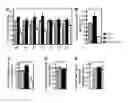 Fig. 17 - Methods of modulating seed and organ size in plants