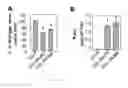 Fig. 19 - Methods of modulating seed and organ size in plants