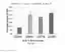 Fig. 05 - EXPRESSION OF THERMOSTABLE STARCH SYNTHASE GENES IMPROVES THE YIELD IN HEAT STRESS