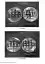 Fig. 06 - EXPRESSION OF THERMOSTABLE STARCH SYNTHASE GENES IMPROVES THE YIELD IN HEAT STRESS