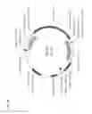 Fig. 10 - HYPERSENSITIVE ABA RECEPTORS