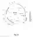 Fig. 13 - Method for producing terpenes