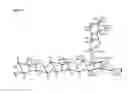 Fig. 05 - Genetically modified microorganisms capable of producing β-glucans and methods for producing β-glucans